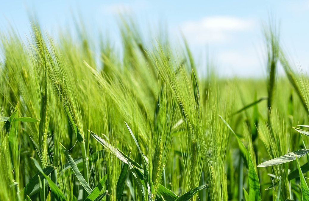 Sidebar Gallery Image